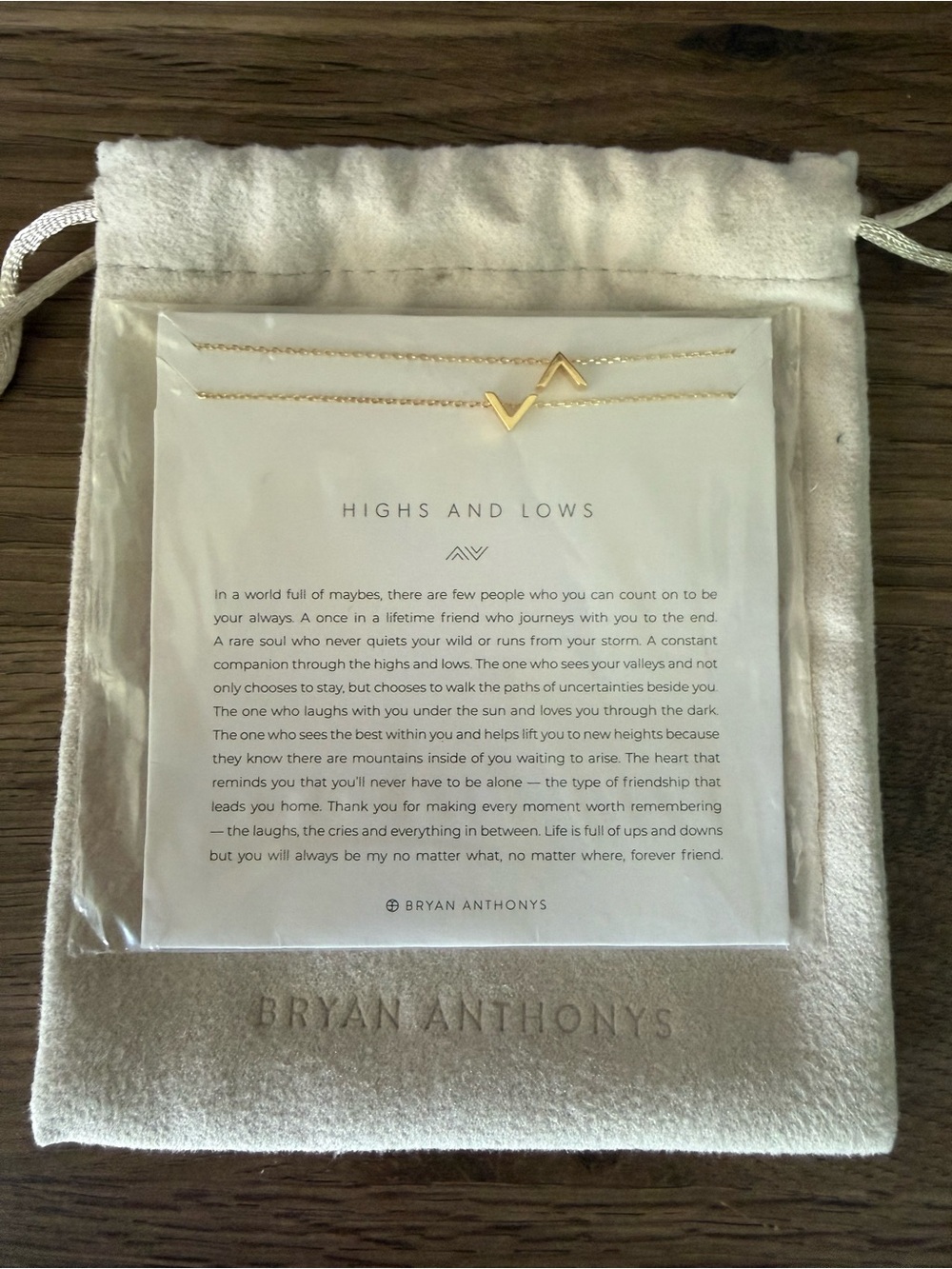 Bryan Anthonys “Highs and Lows” necklace • NWT